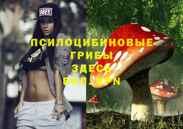 альфа пвп Щигры