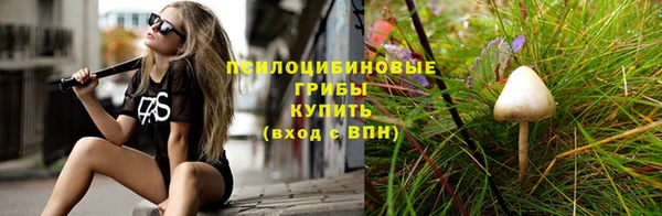 альфа пвп Щигры
