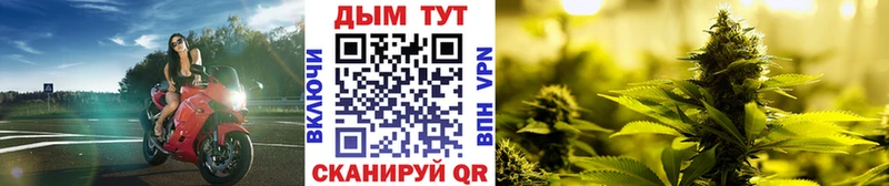 Конопля ГИДРОПОН  Мостовской 
